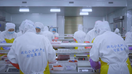 全國首個小龍蝦加工基地揭牌 全鏈賦能‘蝦’經濟，助力鄉村振興與技術推廣